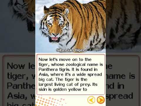 Animal World: Big Cats Nintendo DS