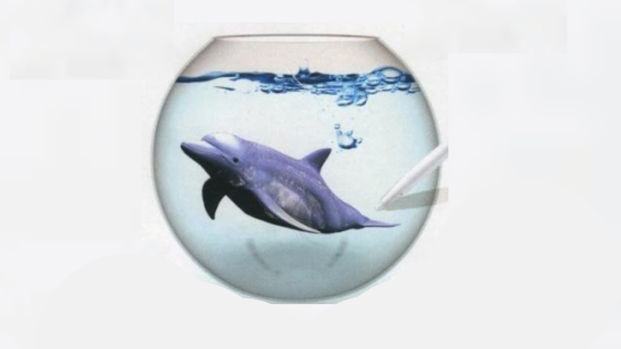 "Aquarium By DS Nintendo DS