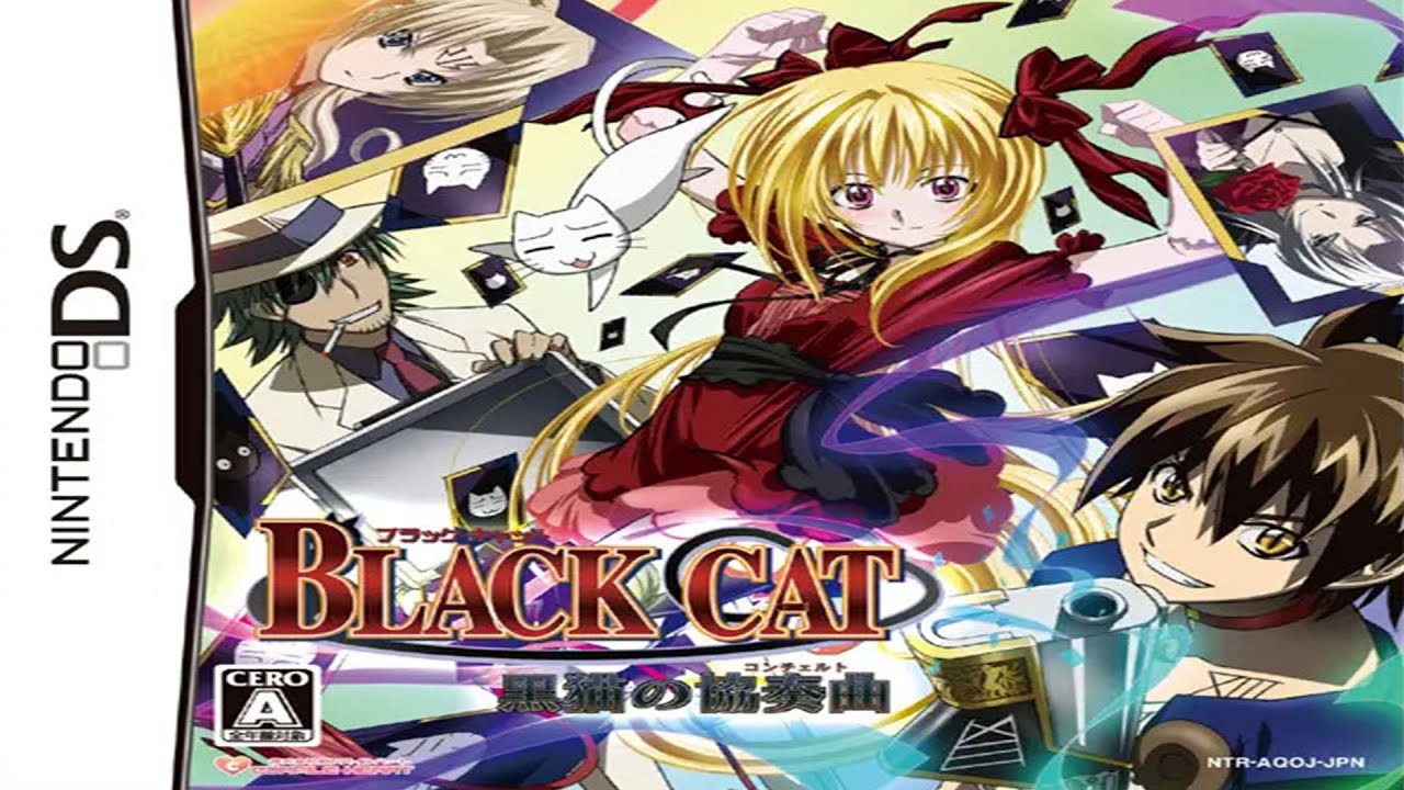 Black Cat: Kuroneko no Concerto Nintendo DS