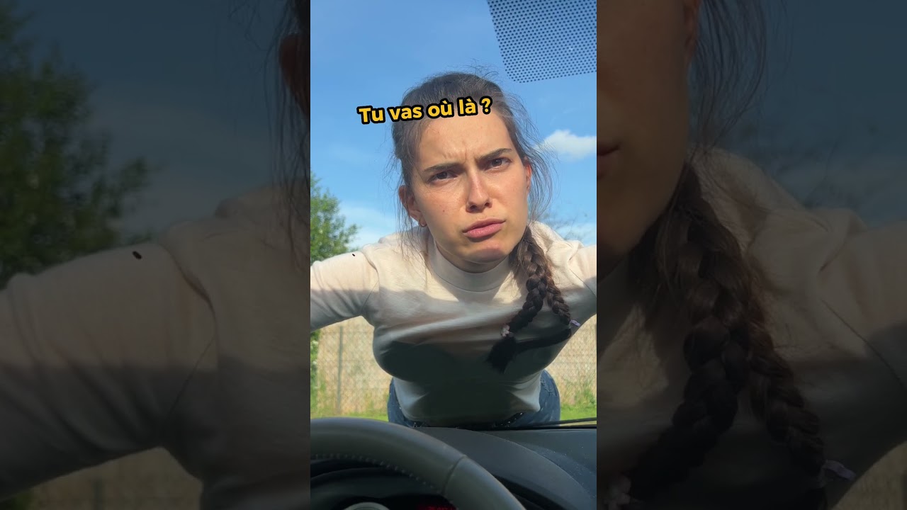 Code de la Route: Edition 2008 (Micro Application) Nintendo DS