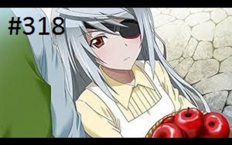 Infinite Stratos 2: Love and Purge PS3 PLAY STATION 3