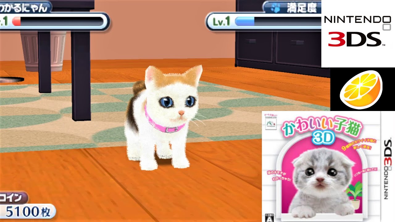 Kawaii Koneko DS 3 Nintendo DS