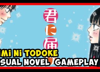 Kimi ni Todoke: Sodateru Omoi Nintendo DS