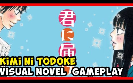 Kimi ni Todoke: Sodateru Omoi Nintendo DS