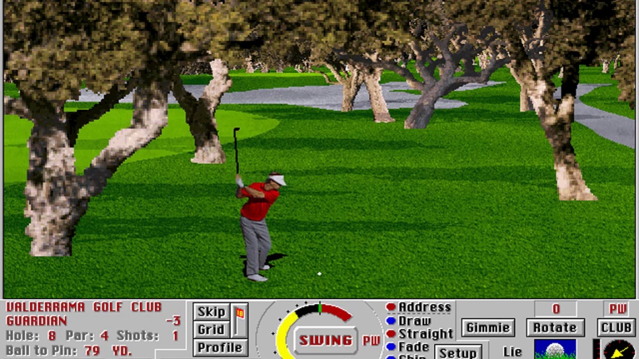 Links LS 1997 PC MSDOS