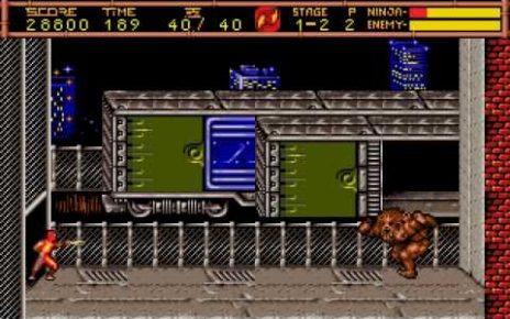 Ninja Gaiden II: The Dark Sword of Chaos PC MSDOS