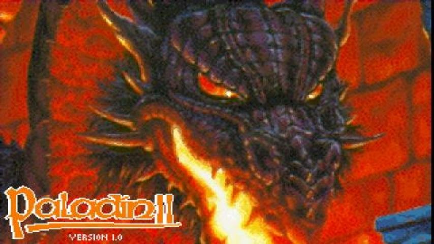 Paladin (video game) PC MSDOS