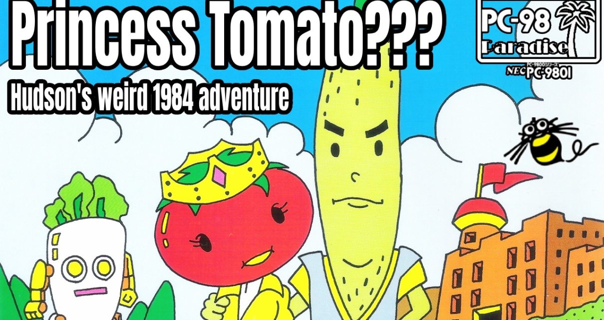 "Princess Tomato in the Salad Kingdom NINTENDO NES