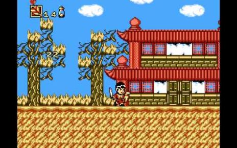 Saiyuuki World NINTENDO NES