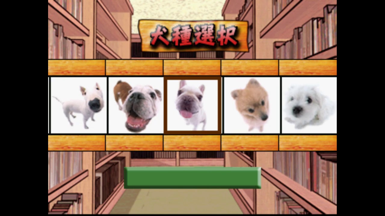 The Dog Master PLAY STATION 1 PS1