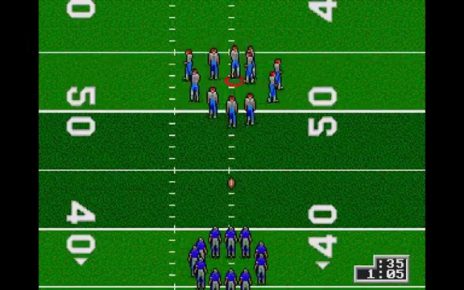 Unnecessary Roughness '95 MEGADRIVE