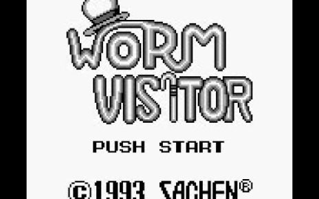 Worm Visitor gameboy