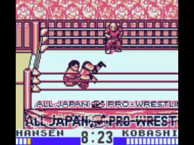 Zen-Nippon Pro Wrestling Jet gameboy