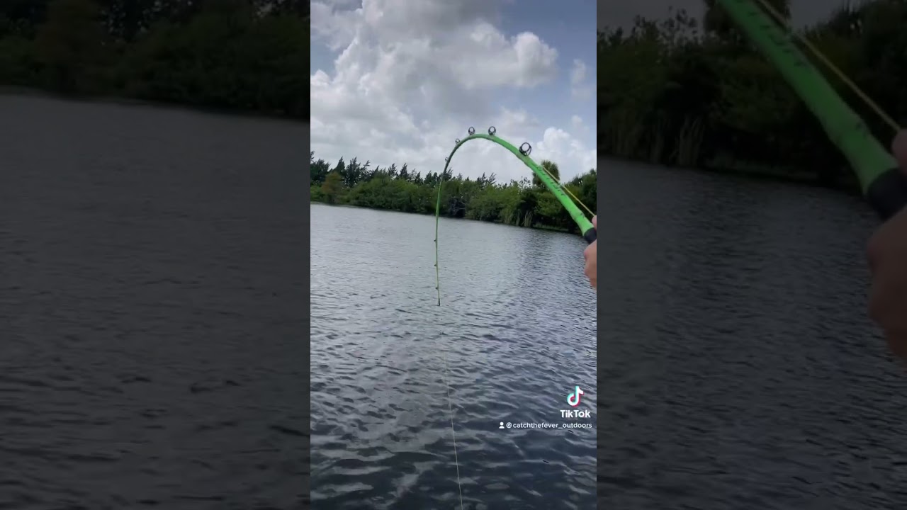 •Buzz Rod: Fishing FantasyJP" PLAYSTATION 2