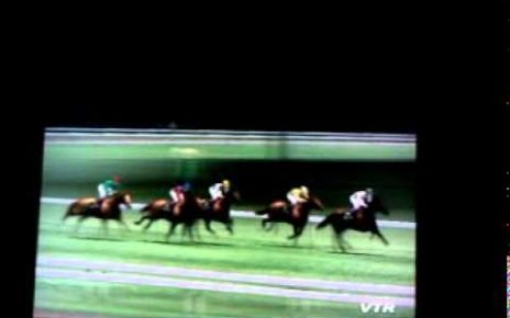 •G1 Jockey 4 + Winning Post 7 Twin PackJP" PLAYSTATION 2