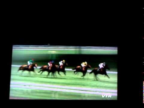 •G1 Jockey 4 + Winning Post 7 Twin PackJP" PLAYSTATION 2