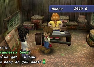 "Harvest Moon: A Wonderful Life PLAYSTATION 2