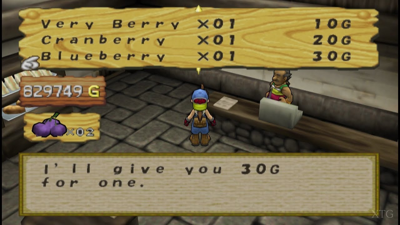 "Harvest Moon: Save the Homeland PLAYSTATION 2