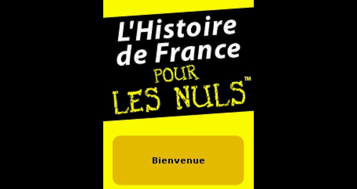 L'Histoire de France Pour Les Nuls Nintendo DS