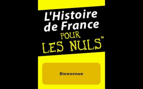 L'Histoire de France Pour Les Nuls Nintendo DS