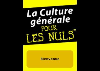 La Culture Generale Pour Les Nuls Edition 2 Nintendo DS