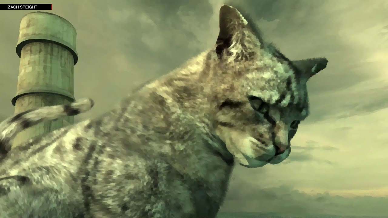 Linger in Shadows PS3 PLAY STATION 3