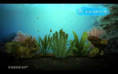 My Aquarium PS3 PLAY STATION 3