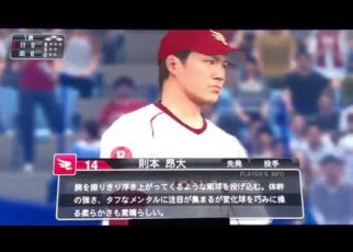 Professional Baseball Spirits 2015 PS3 PLAY STATION 3