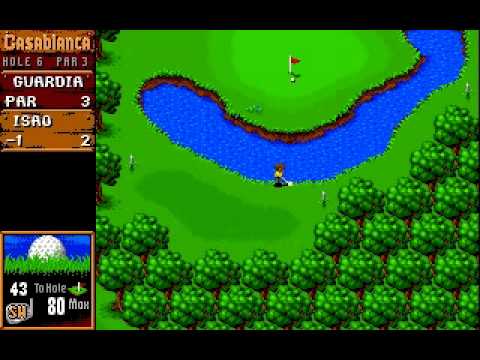 Sensible Golf PC MSDOS