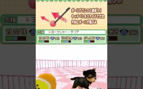 Machi no Pet-Ya-San DS: Wan-chan 200-Hiki Daishuugou Nintendo DS