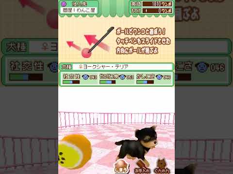 Machi no Pet-Ya-San DS: Wan-chan 200-Hiki Daishuugou Nintendo DS