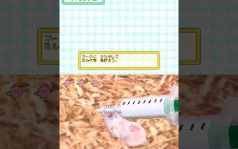 Motto! Hamster to Kurasou: Akachan ga Umareta yo Nintendo DS