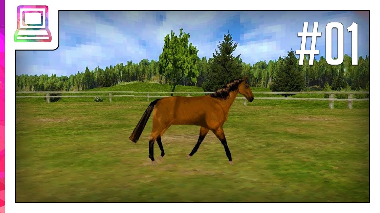 My Horse and Me Nintendo DS