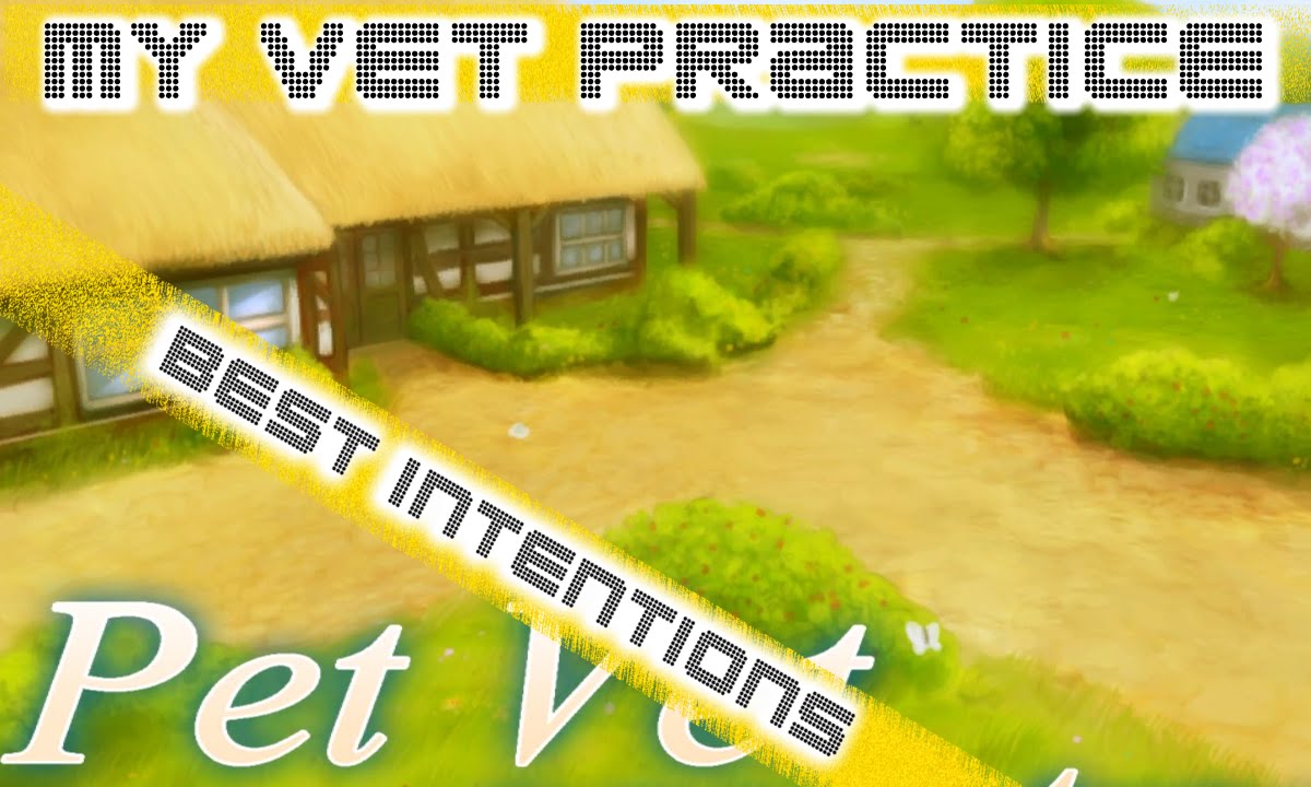 My Vet Practice: In the Country Nintendo DS
