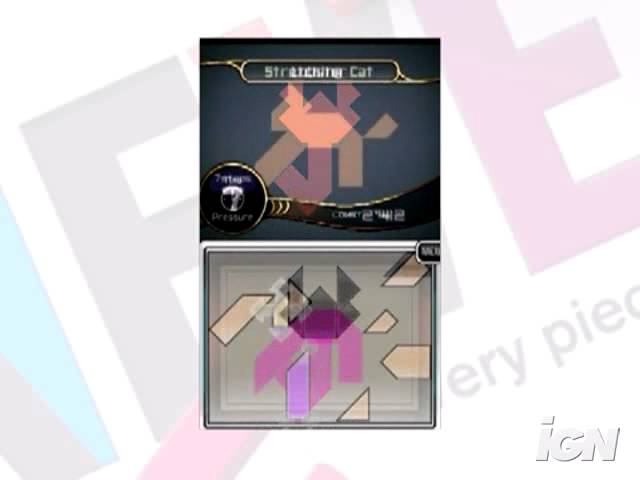 Neves Nintendo DS