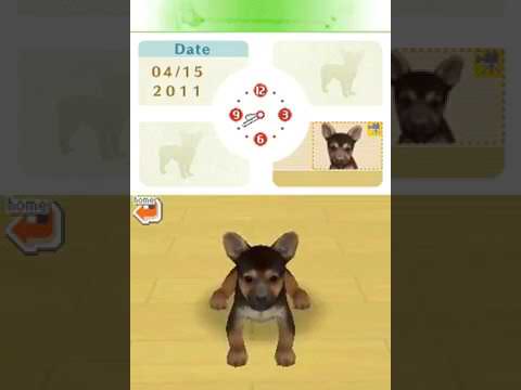 Nintendogs: Best Friends Nintendo DS