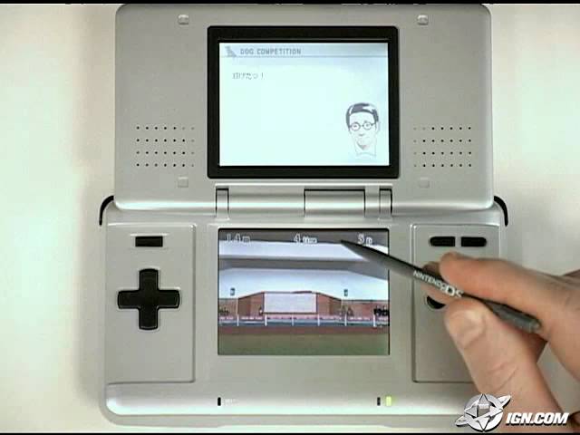 Nintendogs: Chihuahua and Friends Nintendo DS