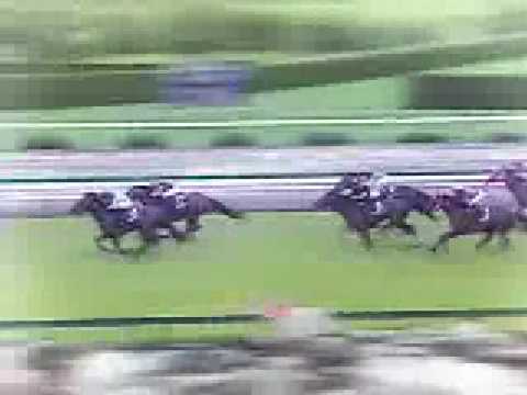 Winning Post 7 Maximum 2010 PS3 PLAY STATION 3