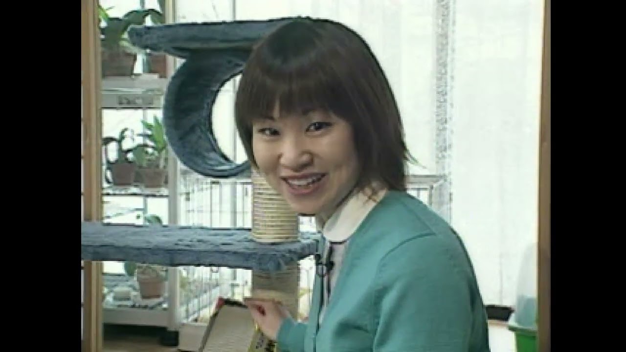 Neko no Kaikata PLAY STATION 1 PS1