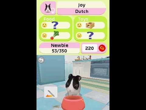 Petz: Bunnyz Bunch Nintendo DS