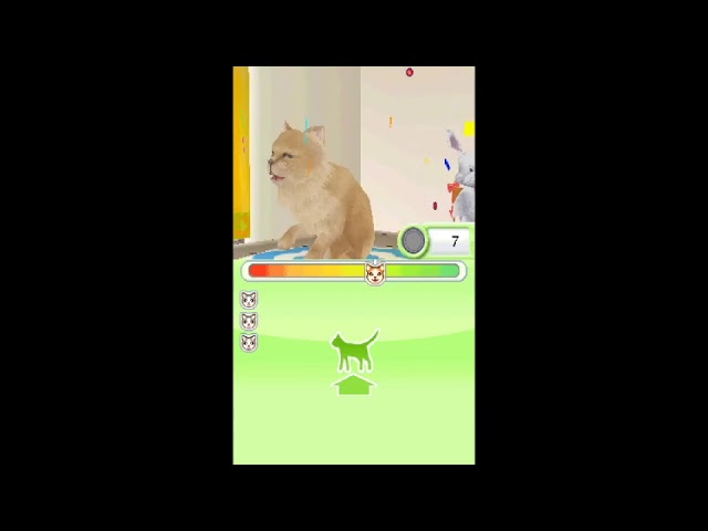 Petz: Catz Playground Nintendo DS