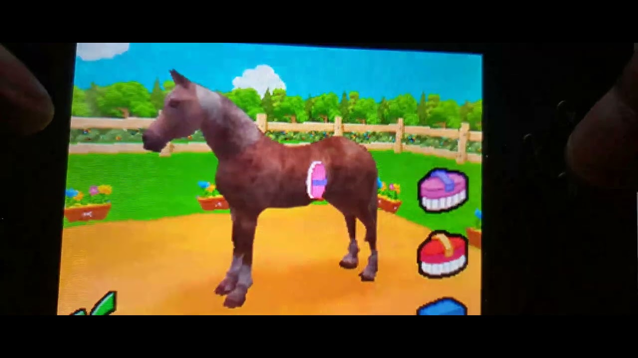 "Petz: Horsez 2 Nintendo DS