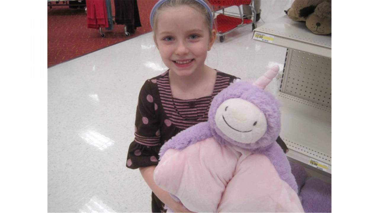 Pillow Pets Nintendo DS