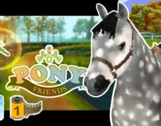 Gameplay y Review de Puzzle: Horse Friends Nintendo DS – Descubre Todo sobre este Encantador Juego